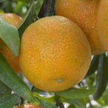 CLEMENTINE CLEMENRUBY