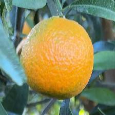 CLEMENTINE CLEMENRUBY