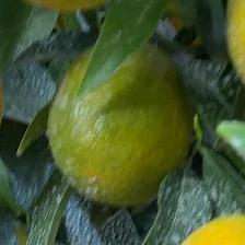 CLEMENTINE CLEMENRUBY