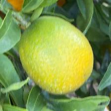 CLEMENTINE CLEMENRUBY